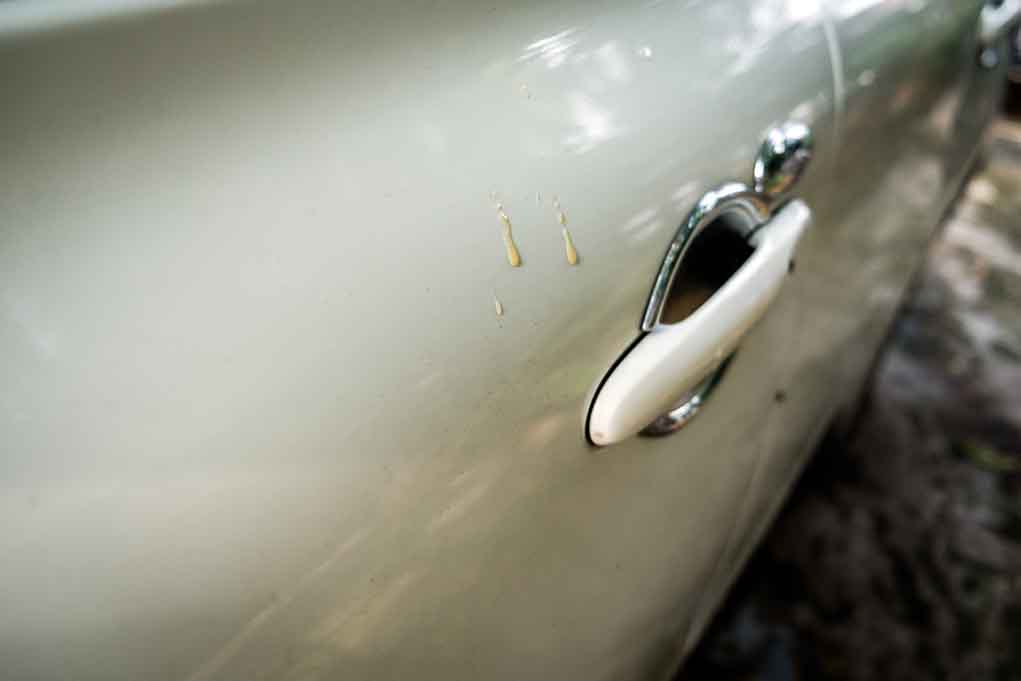 How to Remove Sap from Painted Surfaces