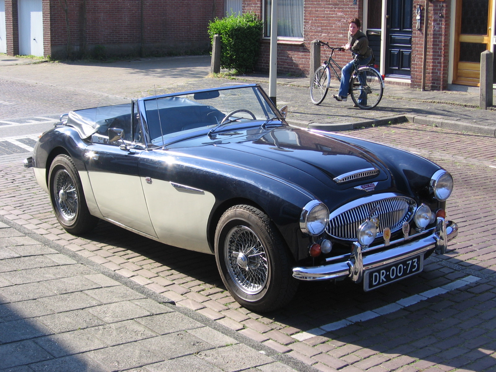 Austin Healey