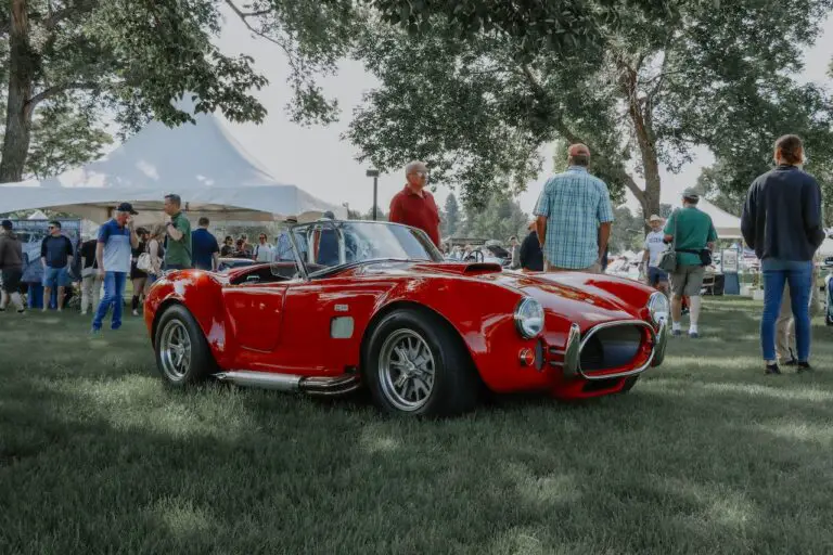 The 1965 Shelby Cobra